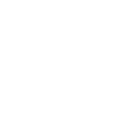 logo-icef-blanco